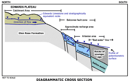 cross section 2