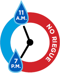 Etapa 1 horas de riego