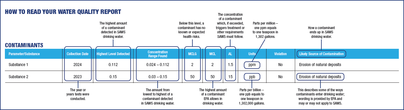 example report