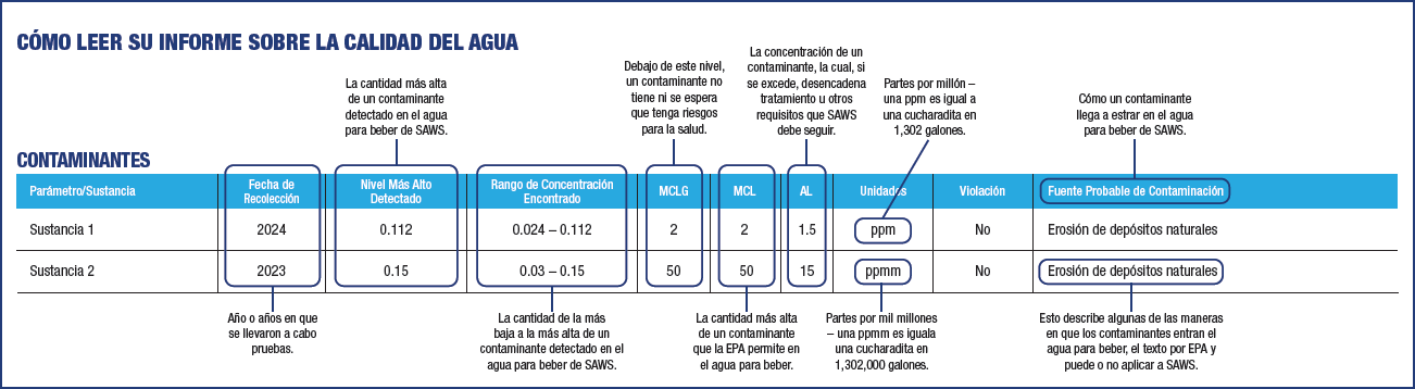 example report spanish