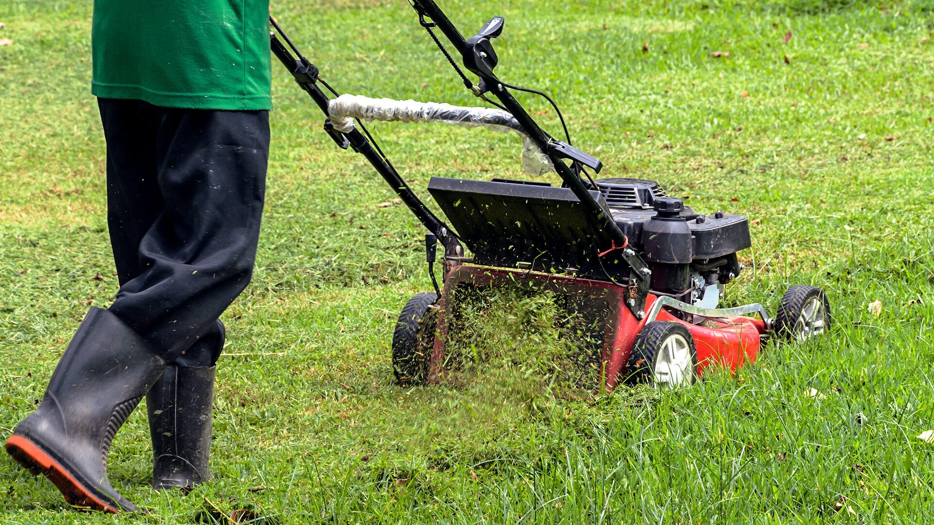 lawn clippings